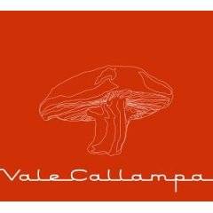 Café Tacuba : Vale Callampa